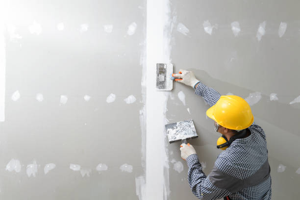 Best Mold-Related Health Consultation  in Edinburg, TX