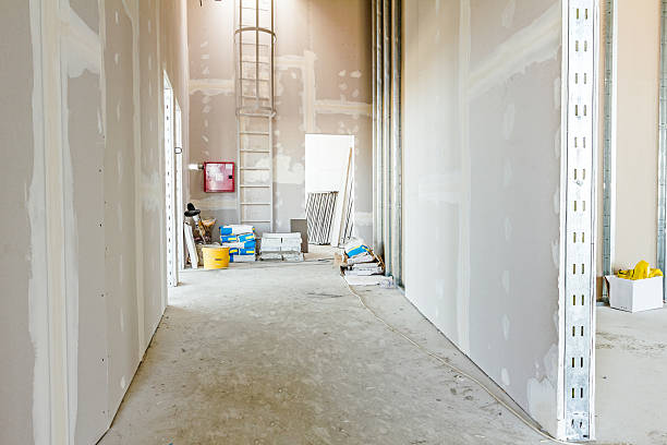 Reliable Edinburg, TX Mold Removal Solutions